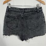 ALLSAINTS  nyla high‎ waist shorts 30 Photo 1