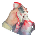 Floral Rose Mini Dress NWT (Muse) 8 White Photo 3