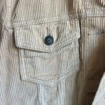 Hollister  Beige Knit‎ Sweater Photo 5