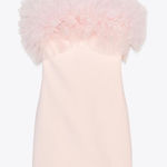 ZARA Dress Pink Tulle Photo 0