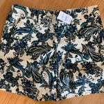 Loft Ann Taylor‎  Shorts Photo 0