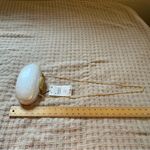 ZARA  Cream Clutch with Gold Accent Photo 1