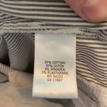 Banana Republic pin tuck Ryan fit flat front Bermuda size 10 shorts Photo 2