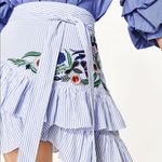 ZARA ✨HP✨ Stripped Embroidered Floral Ruffle Skirt✨ Photo 2