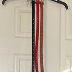 Steve Madden 🍂 3 pc belt set🍂 Photo 0