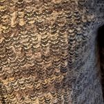 Mystique Boutique MYSTREE mixed media cardigan Photo 2