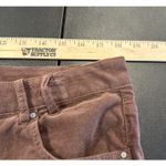 Nic Zoe Womens Size 34 Velvet Straight Leg Ankle Pant Chai Purple Career NEW Photo 6