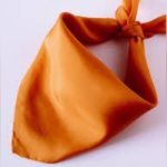 Namjosh Satin Headscarf Bandana Neckerchief NWT Gold Photo 1