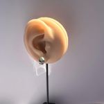 Skull Head Stud Earrings for Men Women Streetwear Punk Hip Hop Unisex Style Silver Photo 5