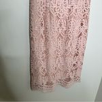 Rachel Parcell Floral Lace Sheath Mini Dress in Rose Smoke Pink Photo 5