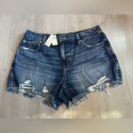 Aerie Daydream High Rise Denim Short Rocky Medium Blue size Medium Photo 7