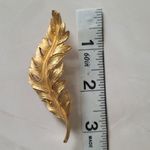 Vintage Coro 1961 Leaf Feather Gold Tone Statement Brooch Pin Costume Jewelry Photo 4