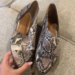 Qupid  Snakeskin Flat Photo 1