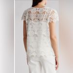 Vince Camuto Crochet Cap Sleeve Top Photo 1