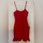 Lulus Lulu’s ruffled bodycon mini dress Photo 4