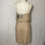 Adrianna Papell  Nude Sheer Art Deco Beaded Mesh Blouson Mini Dress size 12 Large Photo 3