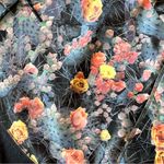 Burton Women’s Crown Bonded Hoodie Prickly Pear Photo 1