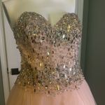 Terani Couture Glamour by  Photo 10