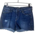 Dear John  Women’s Sz 28 Shorts Distressed Denim Jean Raw Hem Photo 0