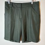 Nike  Golf FitDry‎ Striped Performance Shorts Green Size 10 Photo 0