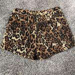 Cider NWT  Low Rise Leopard Print Shorts with Gold Details Photo 8
