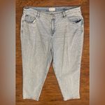 Lane Bryant Boyfriend Fit Jeans Rhinestones Bling Concert Festival Vacation 20 Photo 4