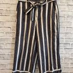 Banana Republic Women’s blue/cream stripe Blake crop linen blend pants 10 Photo 0