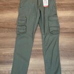 Wrangler MENS Green Pants Photo 0