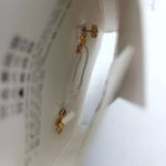 ZARA NWT ‼️ Gold-Tone Spiral Abstract Seashell Post Earrings New Sold Out Online Photo 2