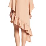 Walter Baker NWT  Nude Asymmetrical Dress Photo 4