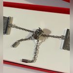 NEW KESSARIS Silver Chain Adjustable Apple Watchband Photo 2