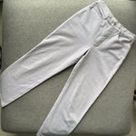 Bogner Light Purple Straight Leg Pants Size 8 Long Photo 0
