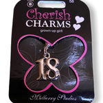 Cherish Charms‎ 18 Bracelet Charm Silvertone NEW NWT 18th Birthday Silver Tone Photo 0