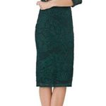 JS Collections Lace Dress Forest Sheer Sleeve Soutache Midi Sheath Dress Size 2 Photo 0