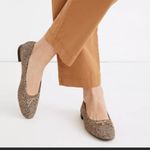 Madewell The Adelle Ballet Flat Photo 1