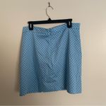 ZARA  blue with green polka dots skirt XL and NWT! Photo 2