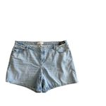 Abercrombie & Fitch  High Rise Denim The Loose Short Size 22 PLUS NEW NWT Photo 1
