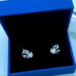 Panda Bear Sterling Silver CZ Heart Stud Earrings Silver Photo 1