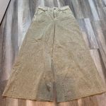 BDG Twill Extreme Wide-Leg Pant Photo 3