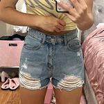 Tiger Mist Denim Shorts Photo 4