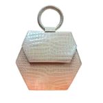 Anima Iris Zaza Hexagon Bag Iridescent Croc Leather Quiet Luxury Purse White Photo 5