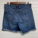 Madewell 𝅺 The Boy Denim Shorts Photo 3