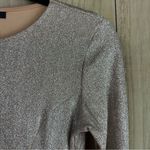 Forever 21  Shimmering Long Sleeve Dress Photo 3