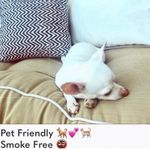 Wildfox π¦π π Kris Leggings in Crepe Chevron- sports bra sold separately Photo 5