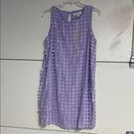 She & Sky  LAVENDER PURPLE TEXTURED SHIFT MINI DRESS MEDIUM NEW WITH TAGS Photo 1