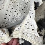 Sea New York Charcoal Cream Eyelet Dress Medium Gray Photo 2