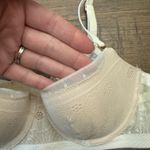 Aerie Lace Bra Photo 1