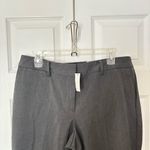 Talbots  Barely‎ Boot Gray Charcoal Petite Plus Size 14WP Career Dress Pants NWT Photo 2