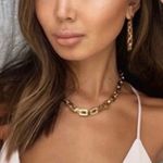 Eddie Borgo NWT  12k Gold Plated Supra Chain Link Necklace Photo 6