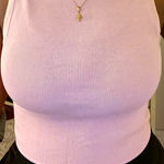 Pink Ribbed Sweater Vest Size XS Photo 0